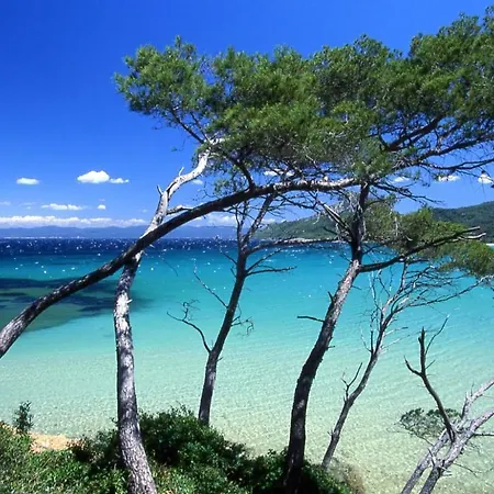 Villa Lou Pantai Vue Mer Et Sur Porquerolles A Les Palmiers *