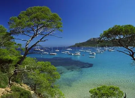 Lou Pantai Vue Mer Et Sur Porquerolles A Les Palmiers *